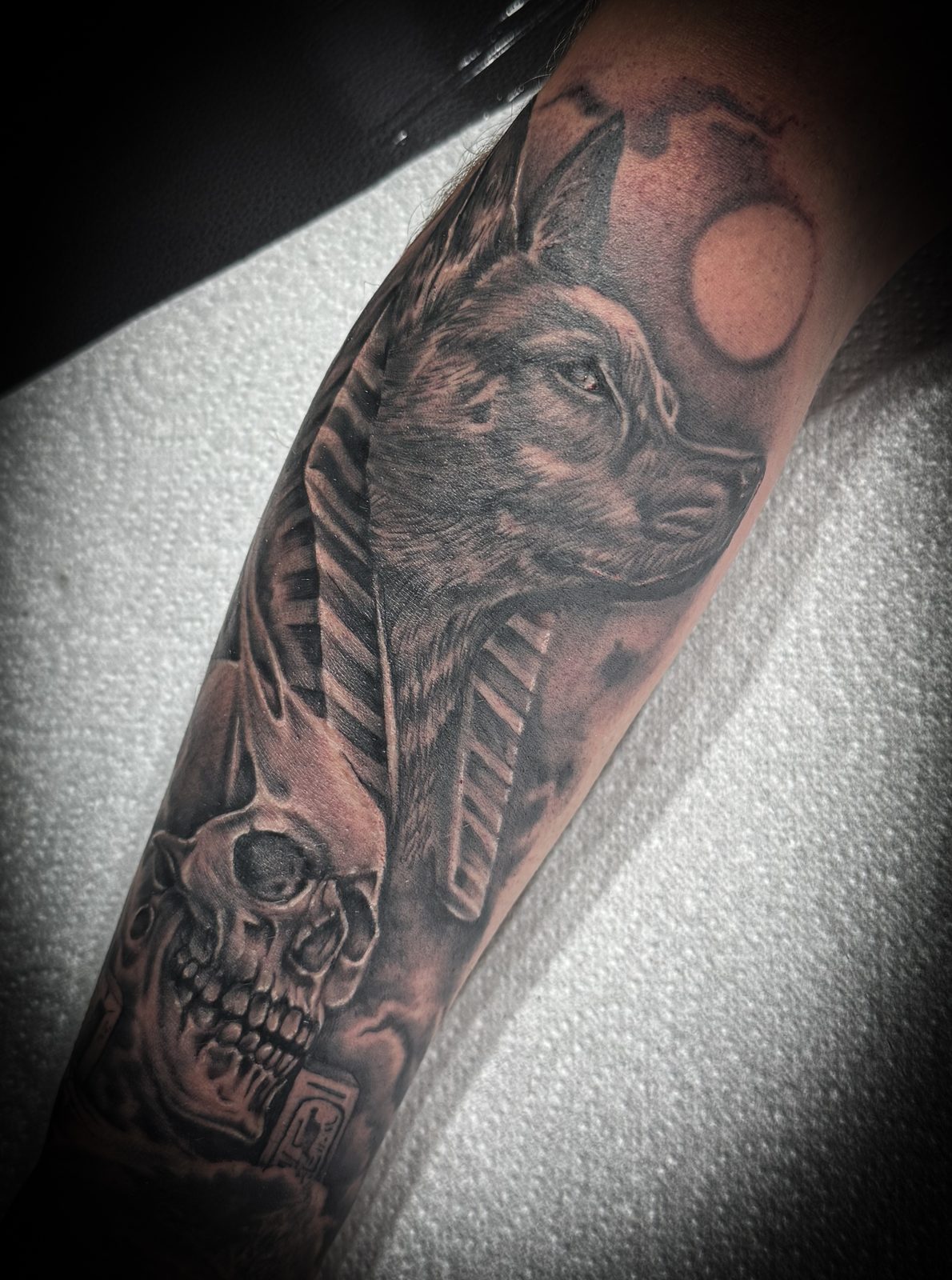 Jay portfolio piece 20