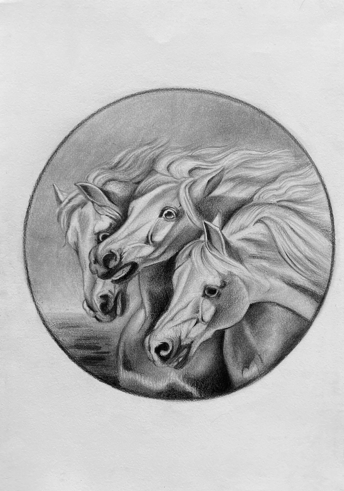 Sandra portfolio piece 3