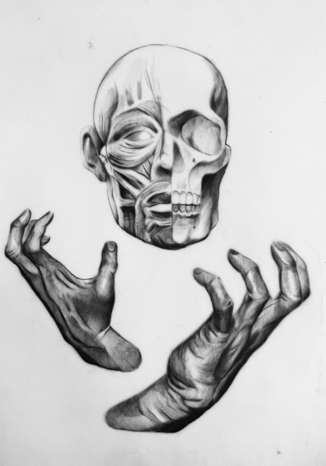 Sandra portfolio piece 4